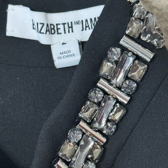 Elizabeth and James Black Jade Embellished Collar Mini Dress Sz 2 Bodycon Maryse - Picture 7 of 11